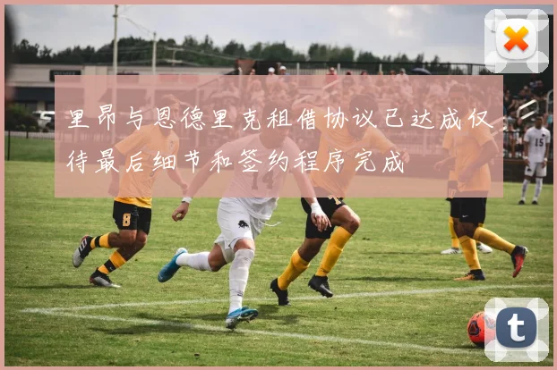 里昂与恩德里克租借协议已达成仅待最后细节和签约程序完成