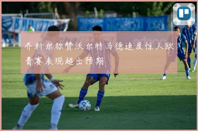 乔科尔称赞沃尔特马德速度惊人欧青赛表现超出预期